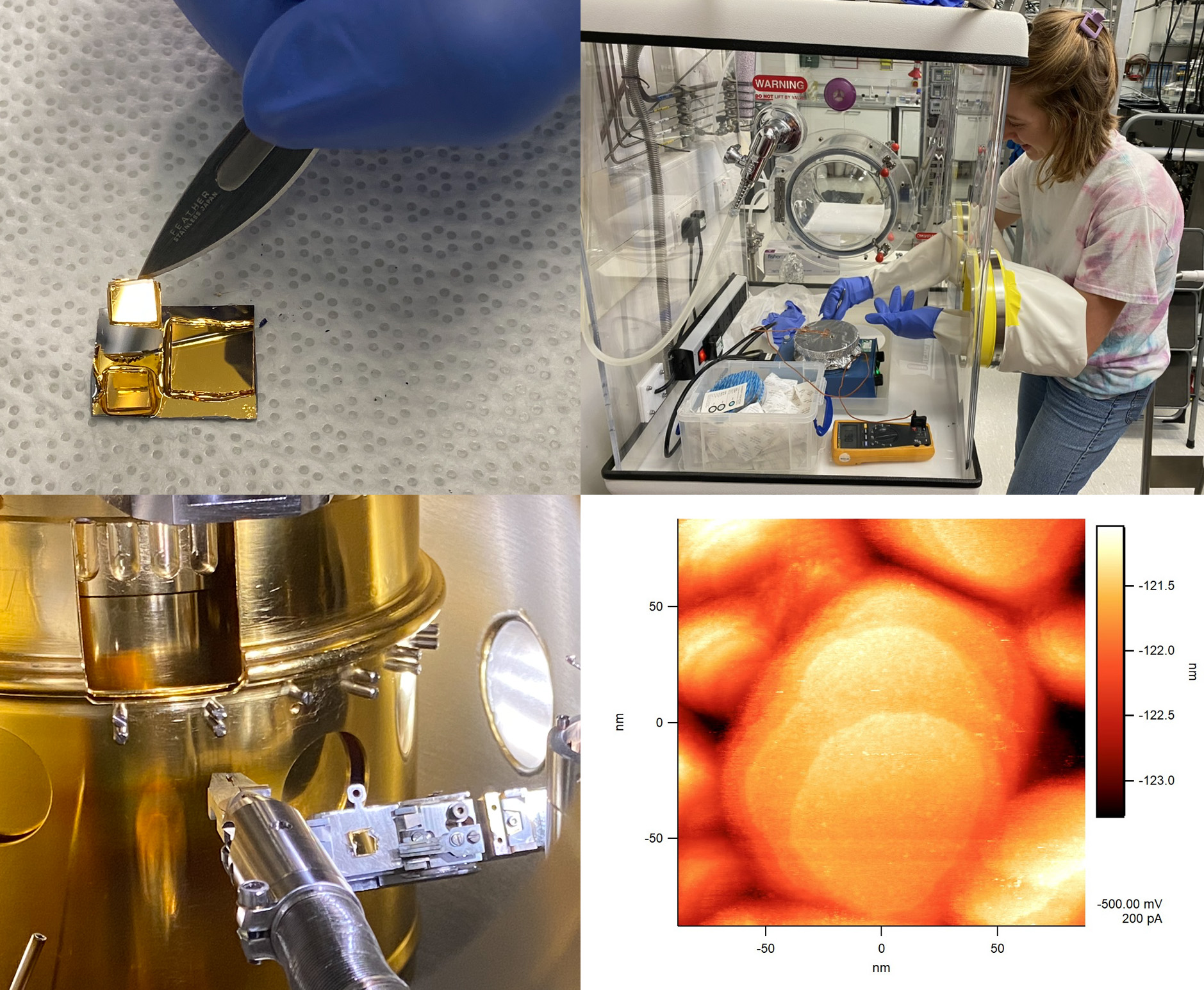 STM image of template stripped gold