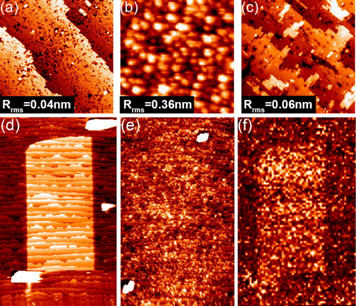 Imaging of buried phosphorus nanostructures in silicon using scanning tunneling microscopy