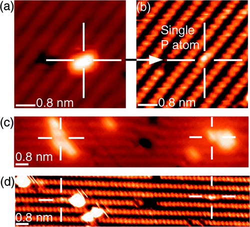 Atomically Precise Placement of Single Dopants in Si