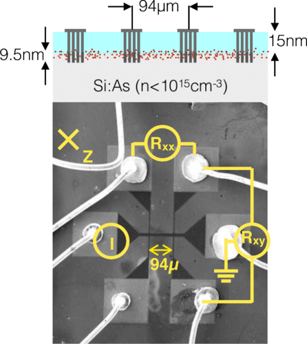 Two- to three-dimensional crossover in a dense electron liquid in silicon