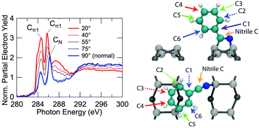 Orientation and stability of a bi-functional aromatic organic molecular adsorbate on silicon