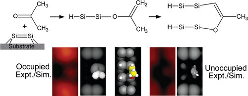 Organic Bonding to Silicon via a Carbonyl Group: New Insights from Atomic-Scale Images